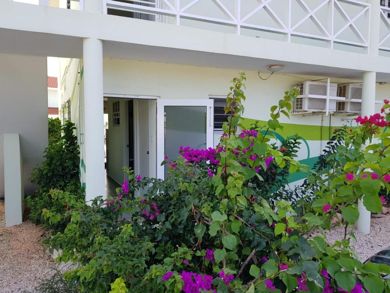 לגון Alifra Apartment מראה חיצוני תמונה